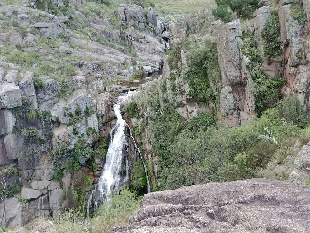 IMG_20230408_172519201_MFNR