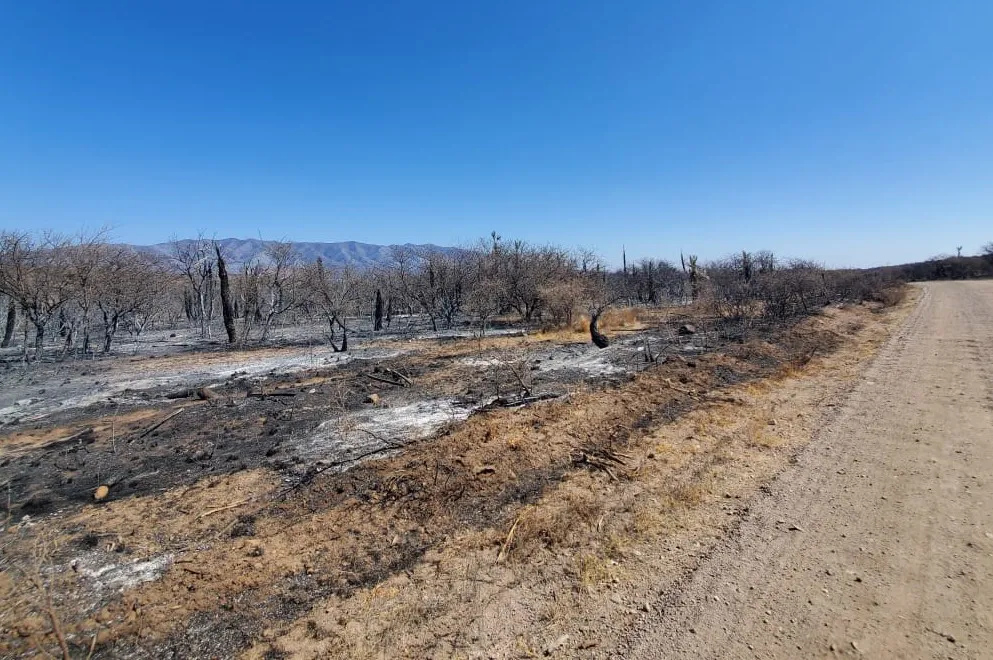 incendios-DD-JJ-para-web