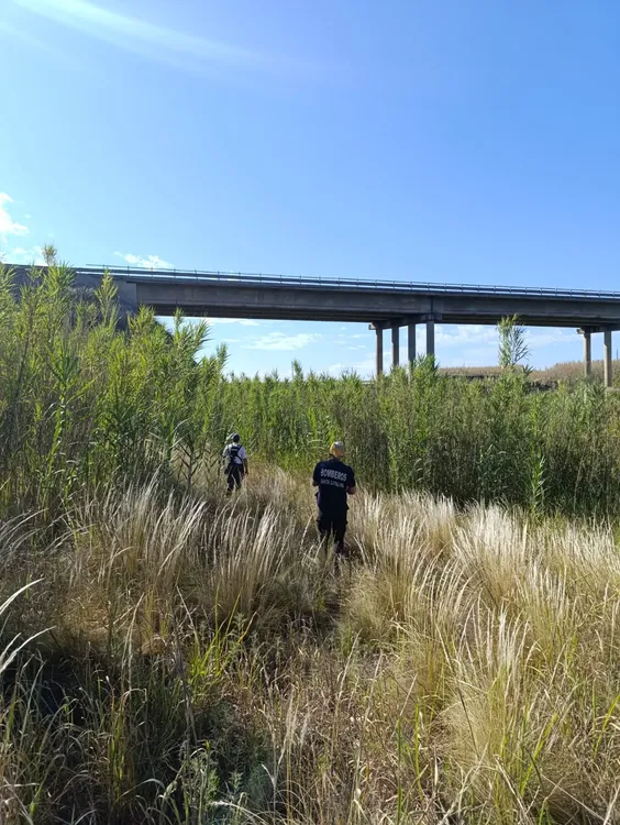 8817f735-941e-4a54-bd3a-17e090a175f3