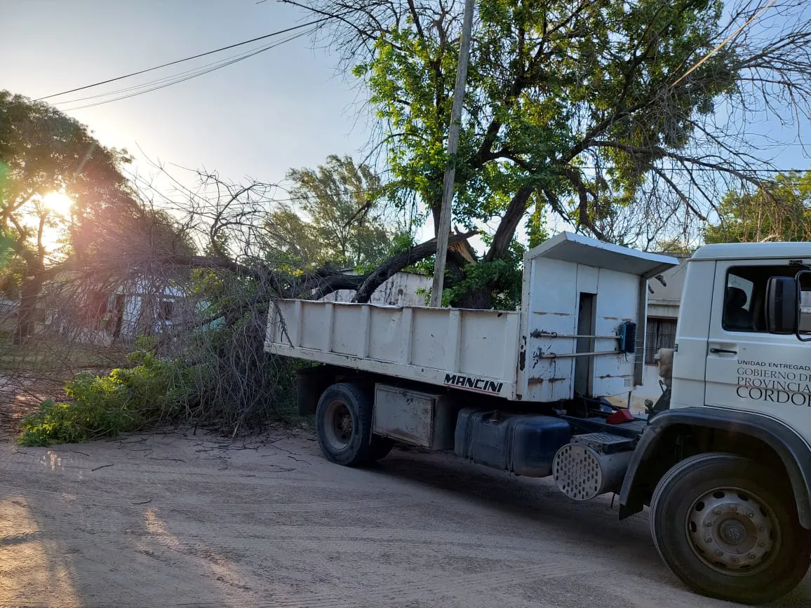 camion