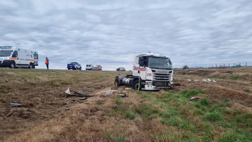 camion 24