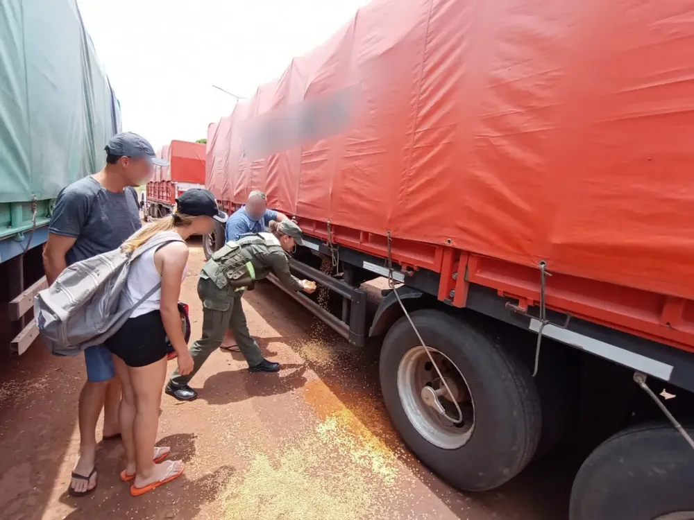 507_toneladas_de_soja-misiones_2