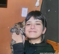 alta