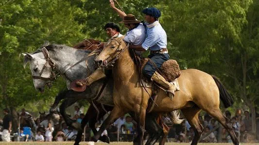 alpa-corral-1