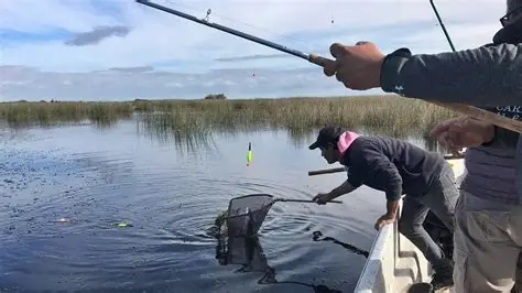 pesca