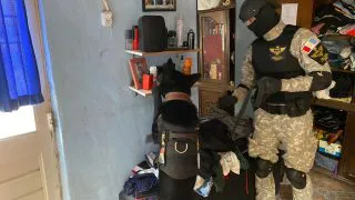 banda