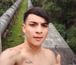 dique
