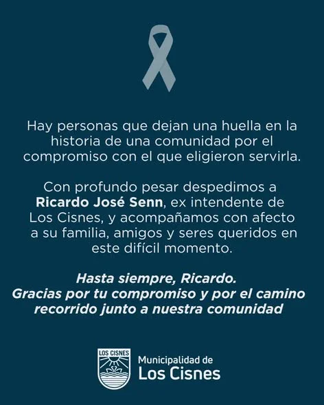 duelo los cisnes