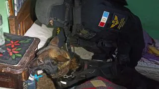 WhatsApp-Image-2023-09-11-at-10.25.15-320x180