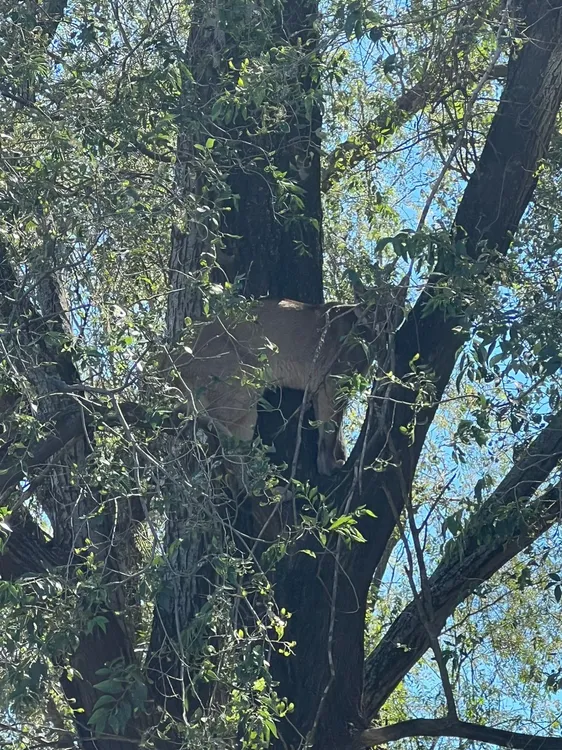 94b48fb0-1ae0-4222-8fe7-5c4e7e64a107