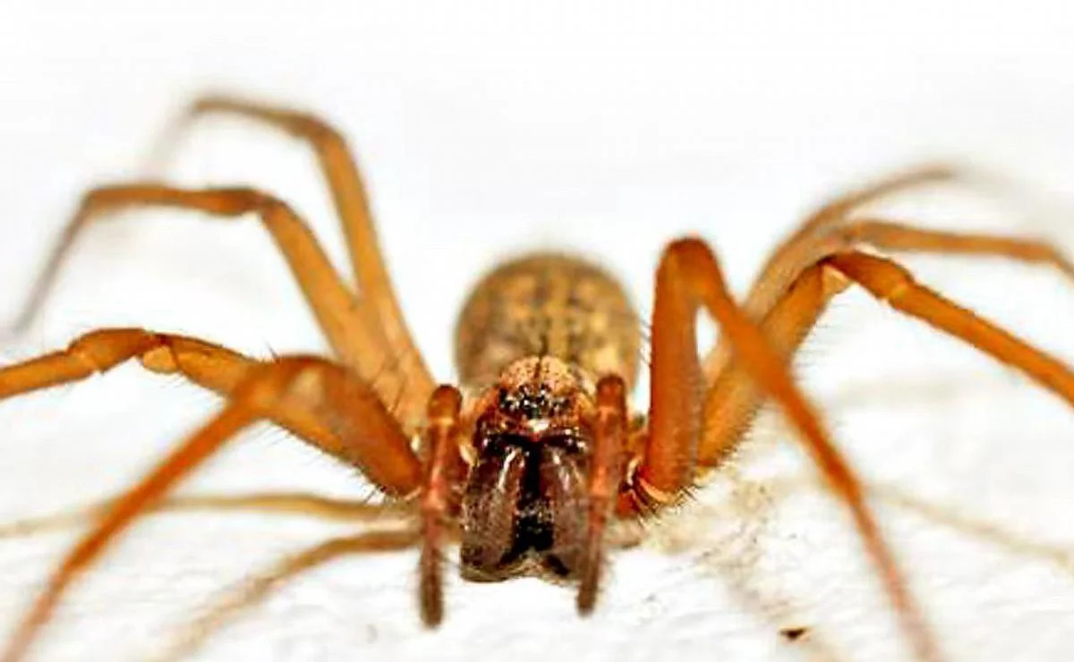 4ff24ac5-ca28-4f0c-b79f-3de5331b4513