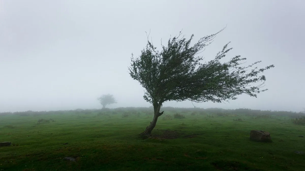 viento-fuertejpg