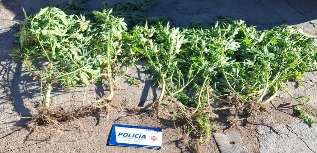 e59cedfd-6a33-41e4-b681-f799b6f4a5cb