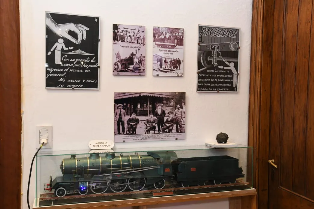 museo 5