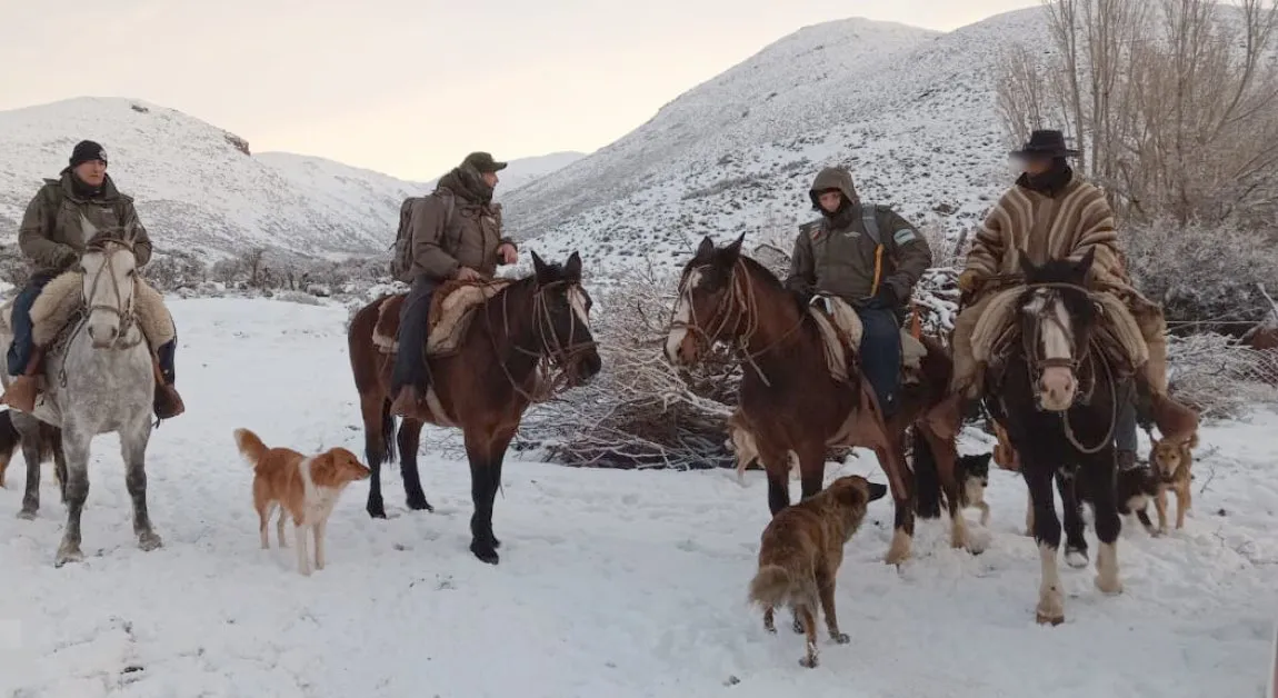 gendarmes_asisten_a_baqueano_extraviado_en_la_zona_cordillerana_5