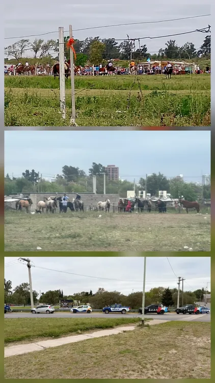 equino