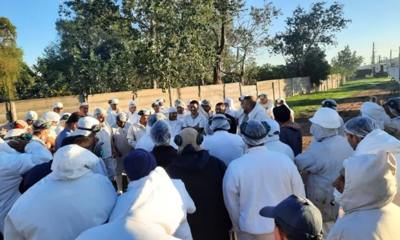 201167_1745857055_237