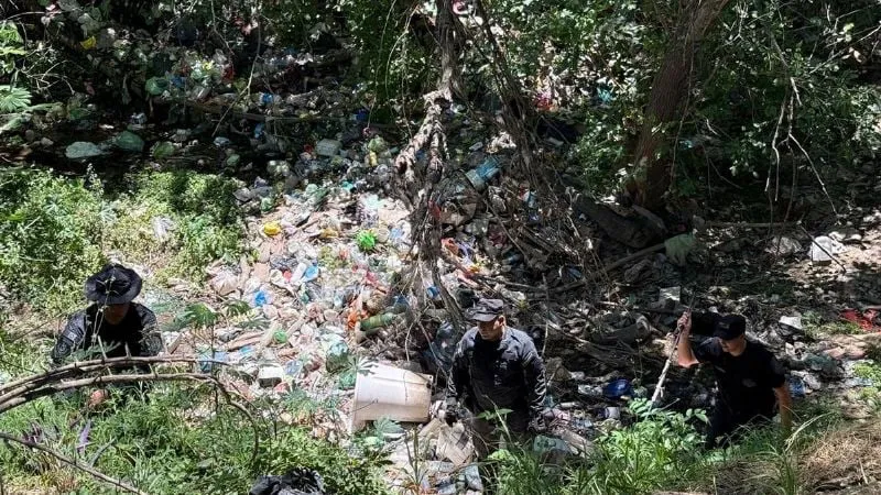 f800x450-575221_626667_5050