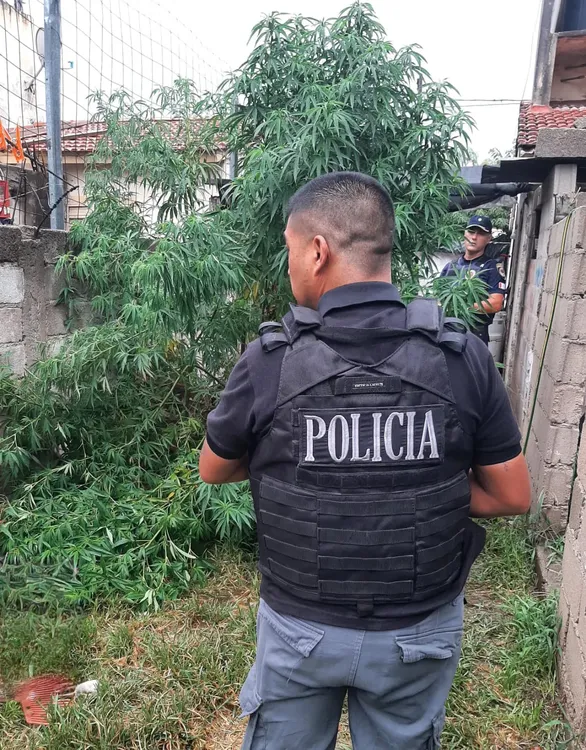 bd322973-64a7-498a-b760-ed342e0c6057