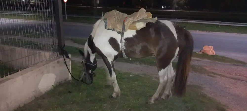 a9587a80-d99c-458e-b79a-a6d8ed2bf0bb