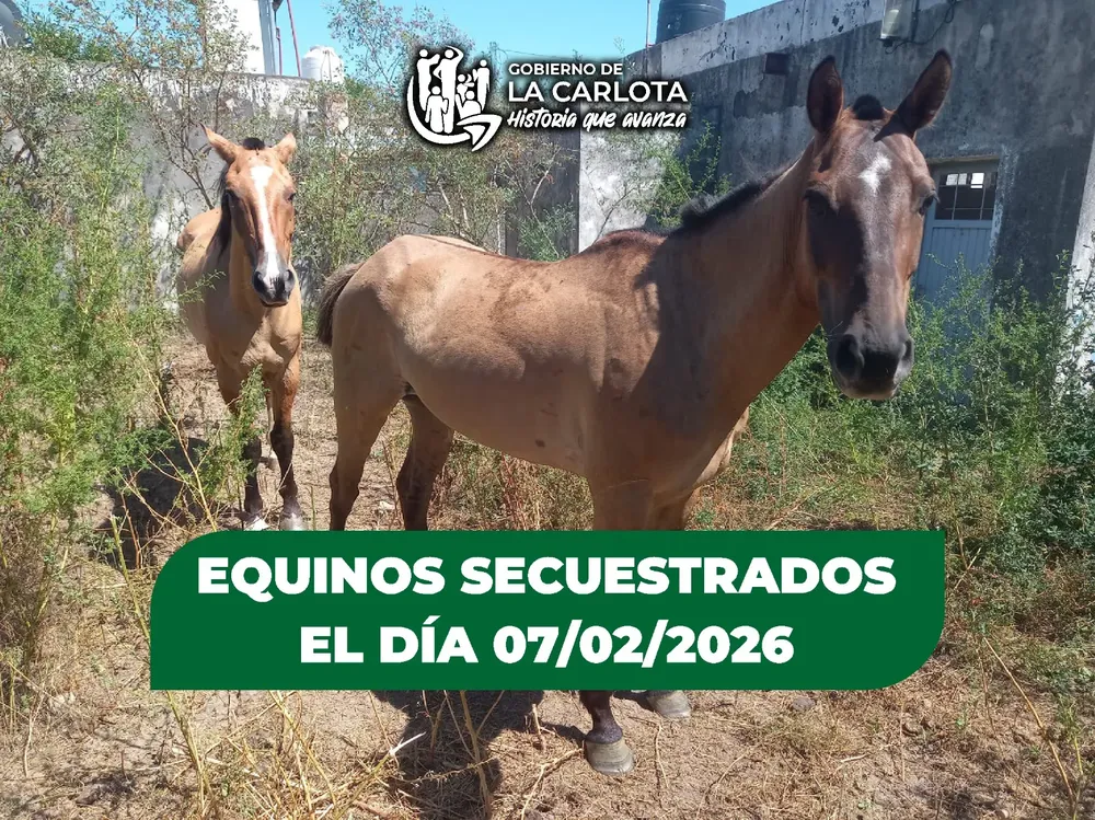 7b9134a2-faca-487f-93a1-3b8ae3afac1c