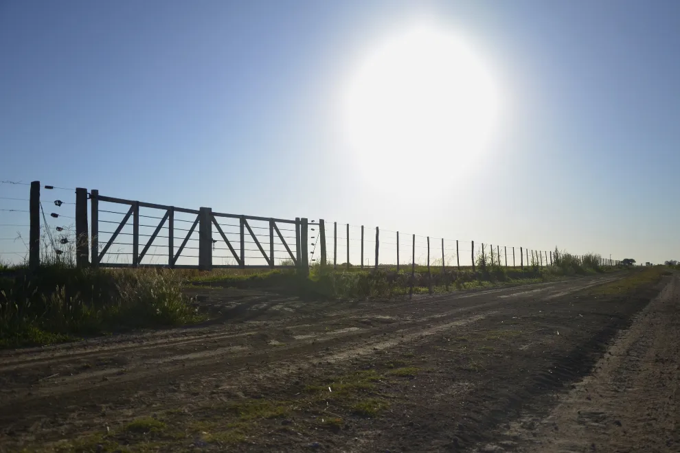 diseno-imagenes-para-Gobierno-8