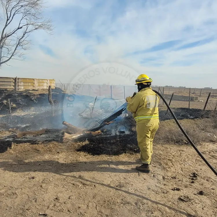 498590463_23947783234829547_750039922091393102_n