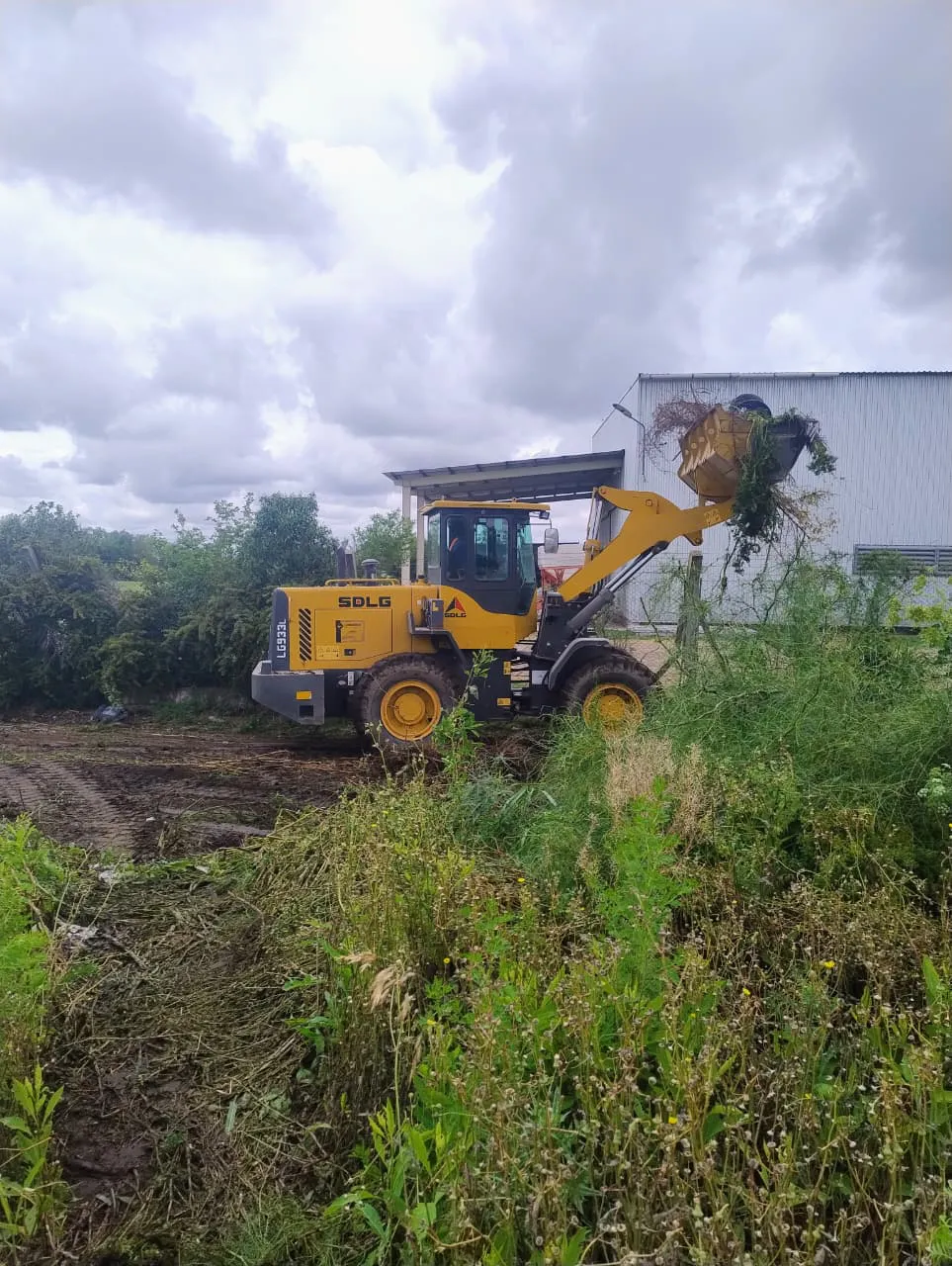 5d5dbdf3-341a-4c7f-a1da-c92ee0cfcaf3