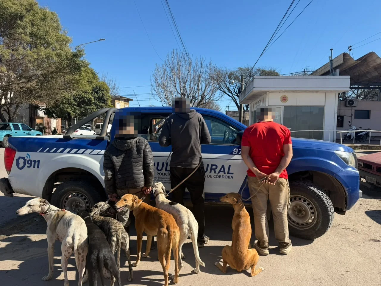 GALGOS