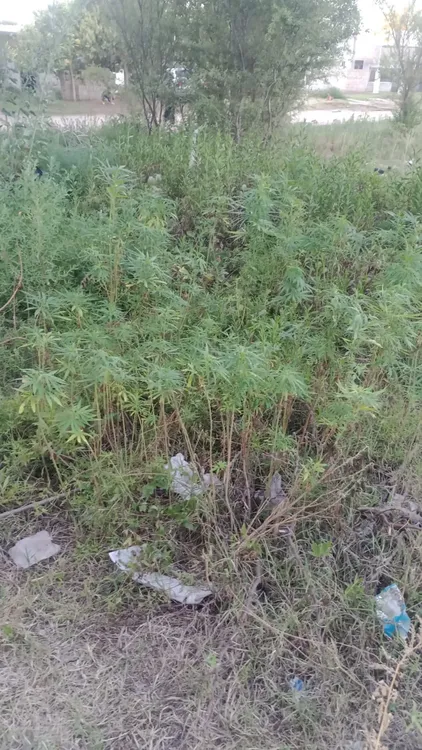 216f36fe-a9f3-4064-95f4-b219b376c12d