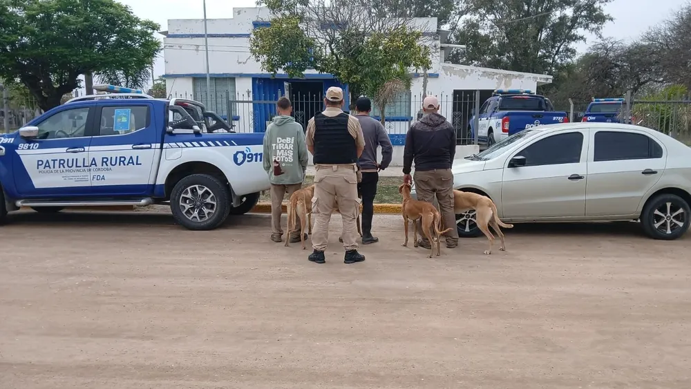 galgos