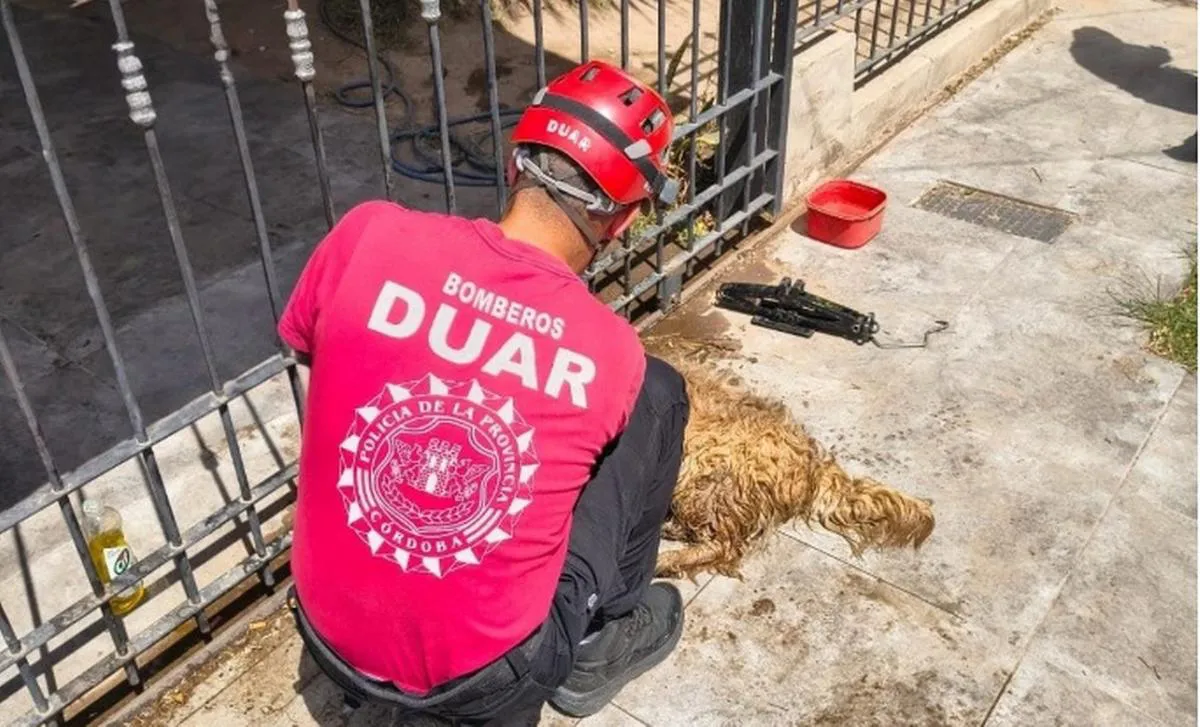 bb7ff99b-8e79-46ae-be37-48e50475b6e3