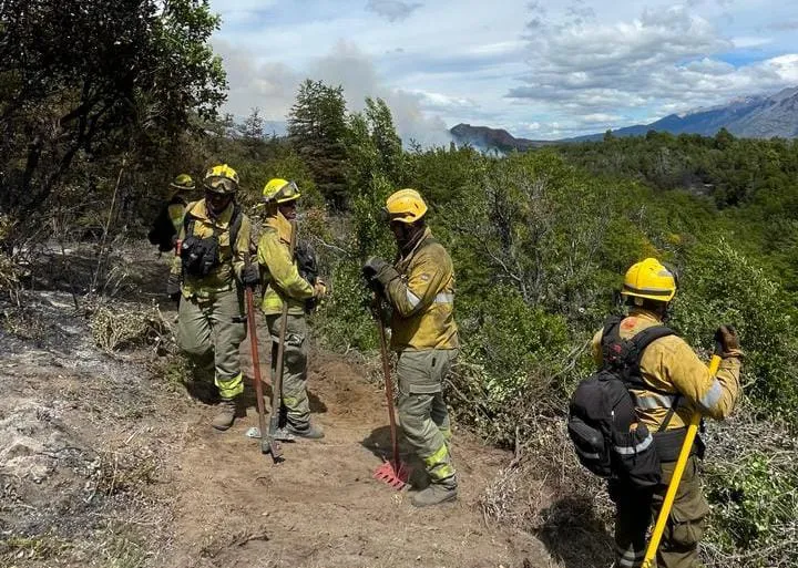 WhatsApp-Image-2024-02-02-at-16.59.34