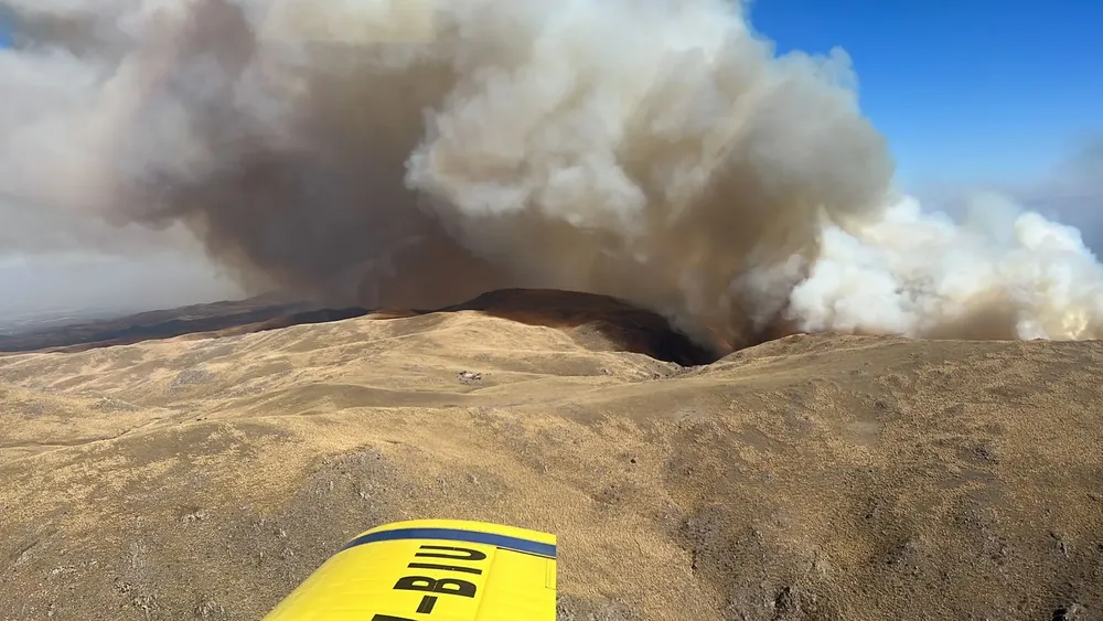 fuego