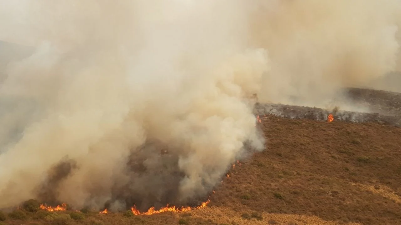 f1280x720-140777_272452_5050