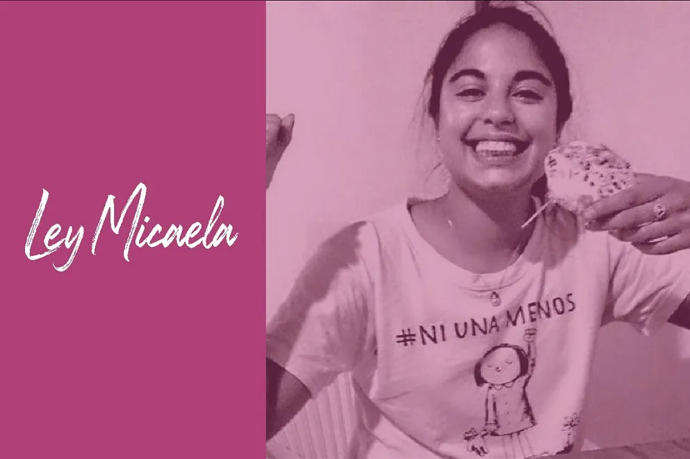 Ley-Micaela