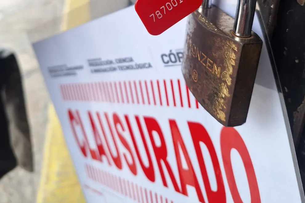 WhatsApp-Image-2025-11-20-at-09.31.10