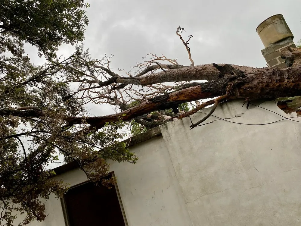 tormenta
