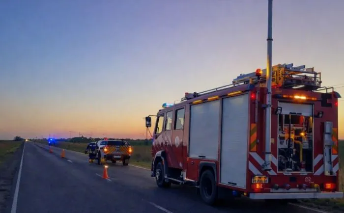 210757_1769003499_250