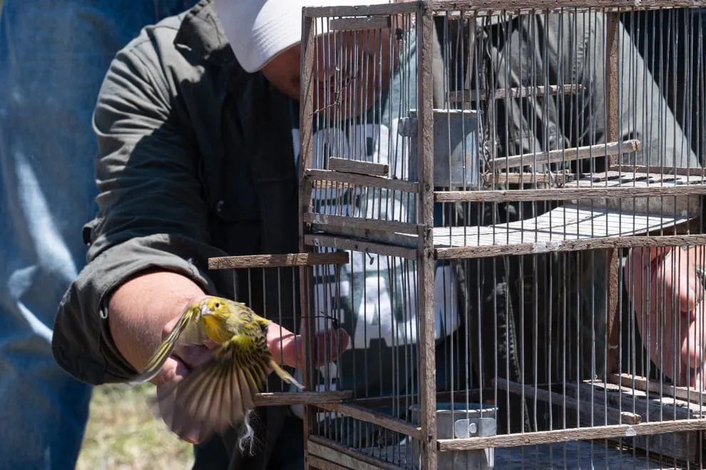 WhatsApp-Image-2025-11-05-at-10.02.40