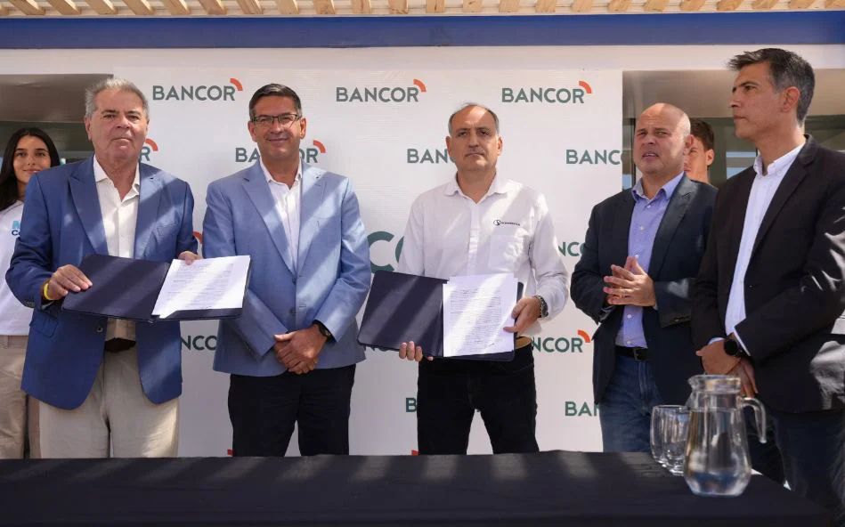 WhatsApp-Image-2026-03-18-at-09.32.30