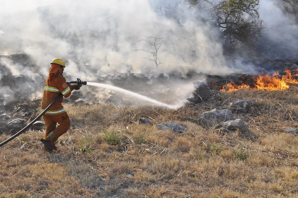 Incendios_6040 (1)