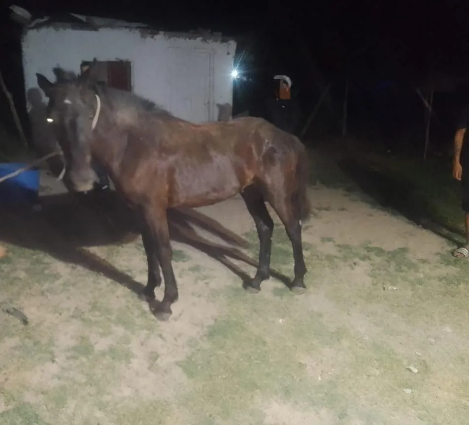 35227c31-1a33-403f-8623-ea47a3a6eb47