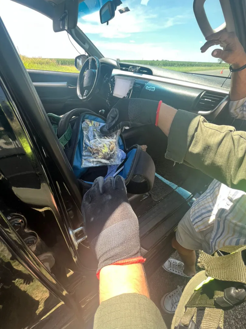 san_luis-_cordoba-_tres_procedimientos_2