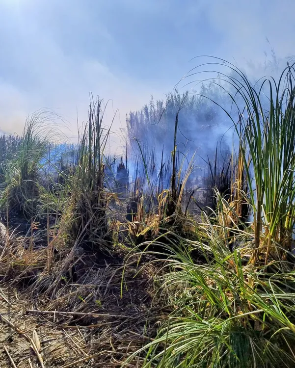 619567564_18105762886686299_5406173752654422027_n