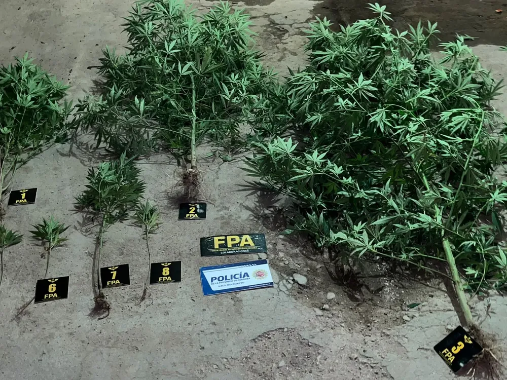 2615040e-c6b9-48f5-9c4a-ee367467f69b