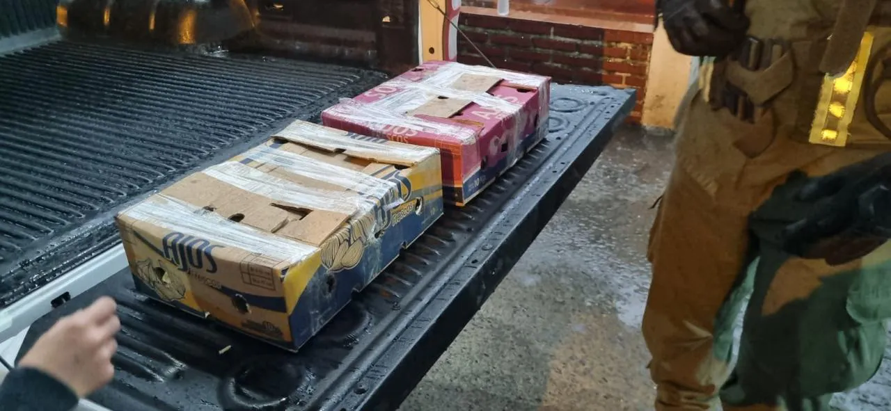 cinco_monos-formosa_2