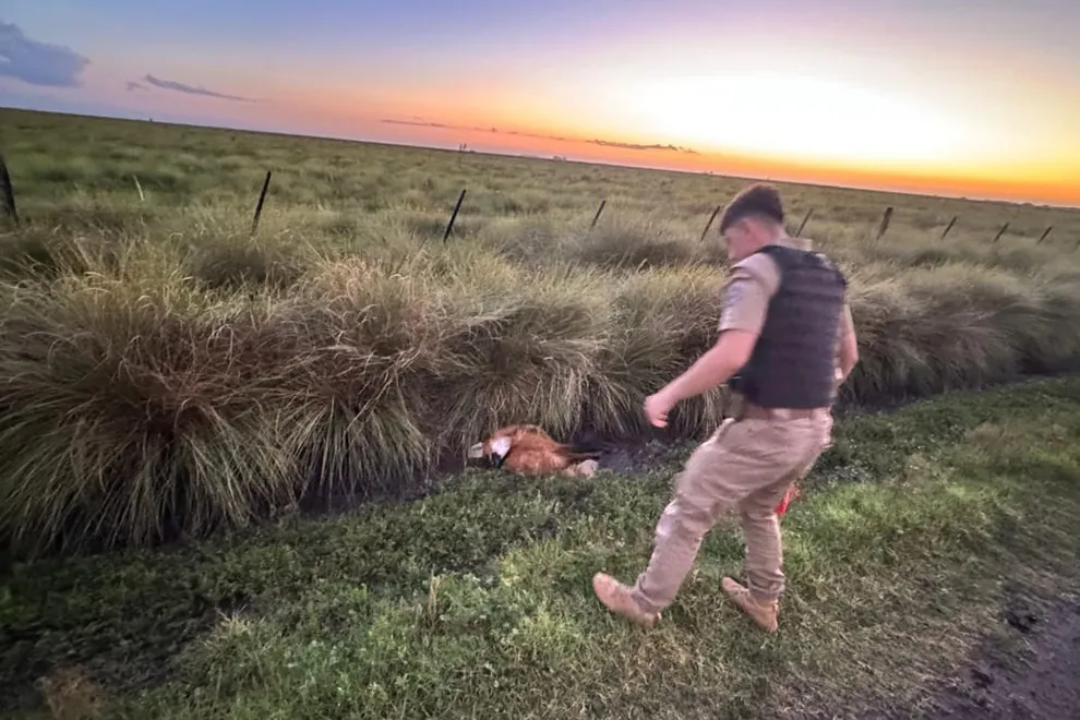 WhatsApp-Image-2025-11-12-at-14.32.00-1