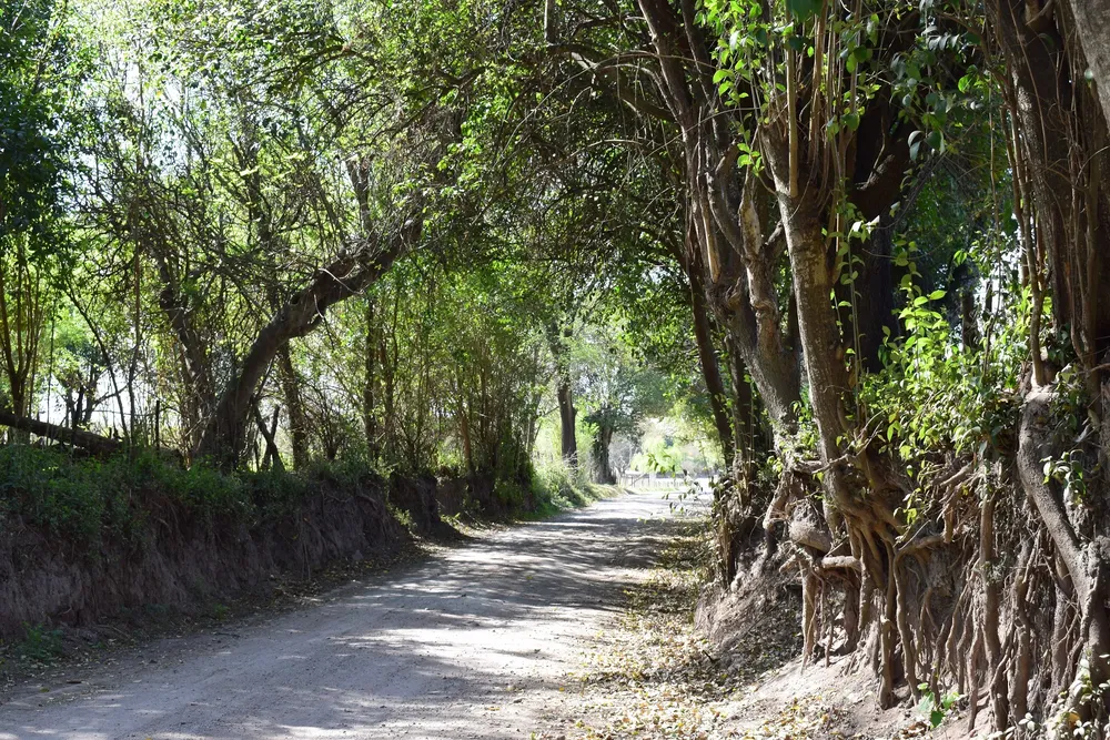 tulumba