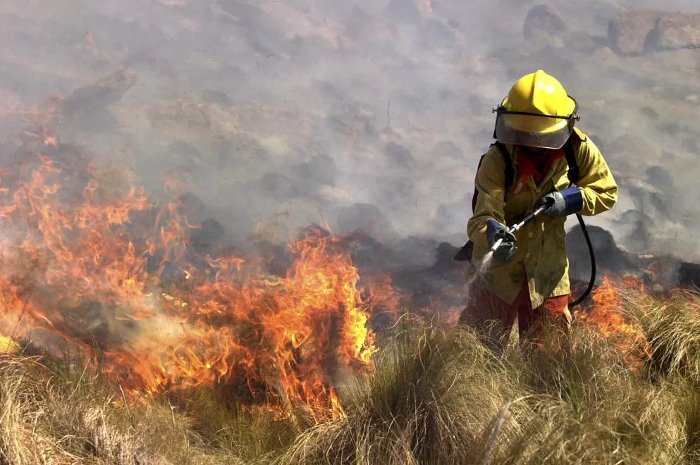 Incendios25 (1)